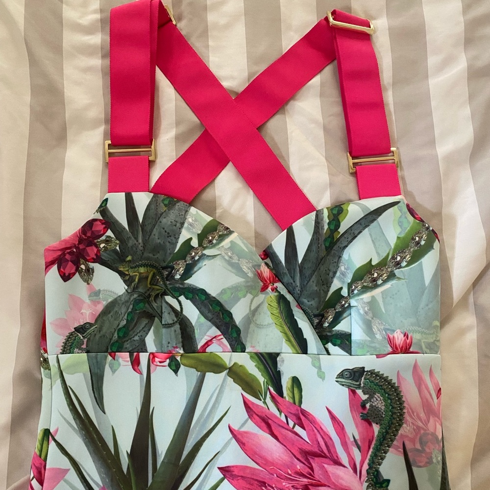 Ted baker dress 2